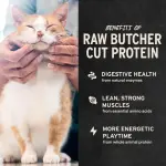 Best Coat-Healthy Treats for Cats: Vital Essentials Minnows that cats will Love