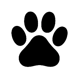 Everything Cats – Find the most Trending Cat Toys and Products Direct from Amazon